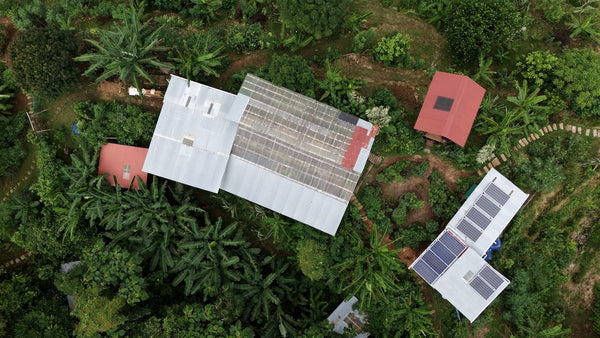 Our Messy, Wonderful Journey to Self-Sufficiency in the Jungle