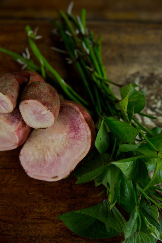 Okinawan Purple Sweet Potato Cuttings