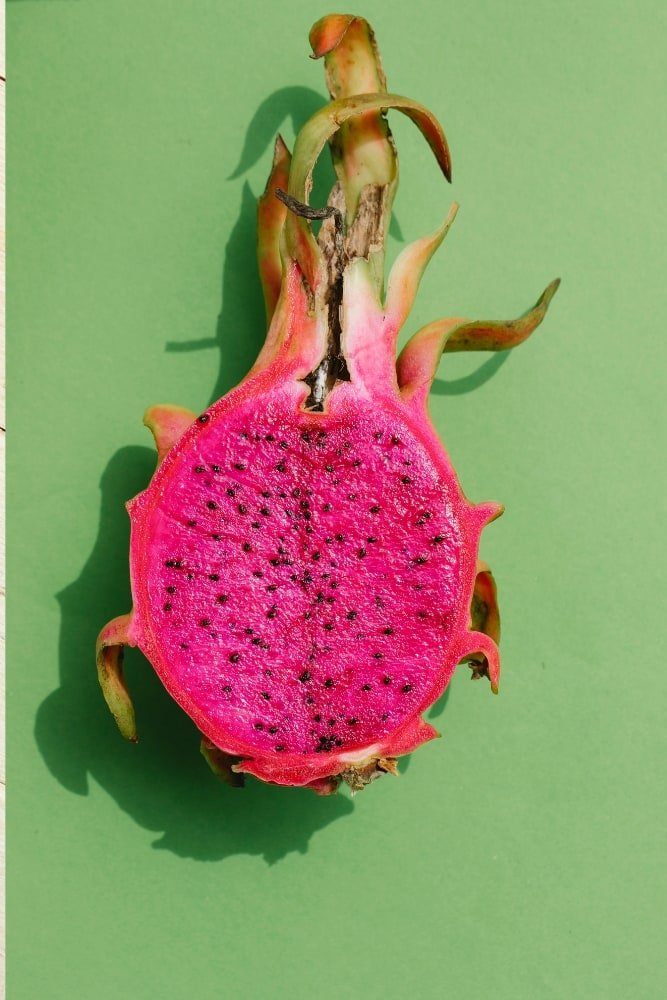 Planta de Pitaya - American Beauty