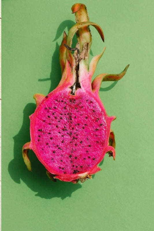 Dragon Fruit Plant - American Beauty