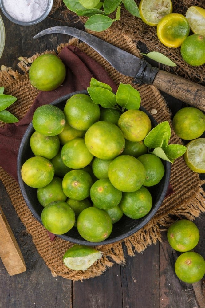 Limón Seda - Árbol injertado