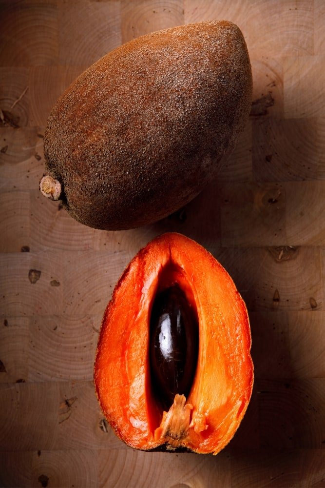 Mamey Sapote Tree