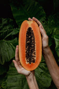 Árbol de papaya