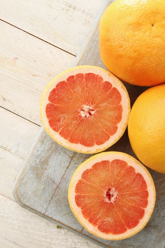 Pomelo rosado - árbol injertado
