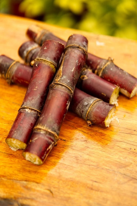 Red Sugarcane (5 Cuttings)